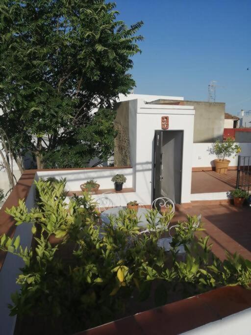 Apartamento Orégano Sanlúcar de Barrameda Exterior foto